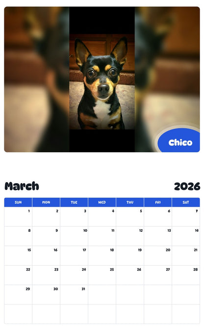 November 2025 - October 2026 Chico - Pawidols Pet Calendar