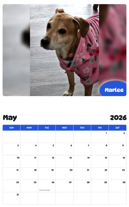 2026 - 2027 Marlee - Pawidols Pet Calendar