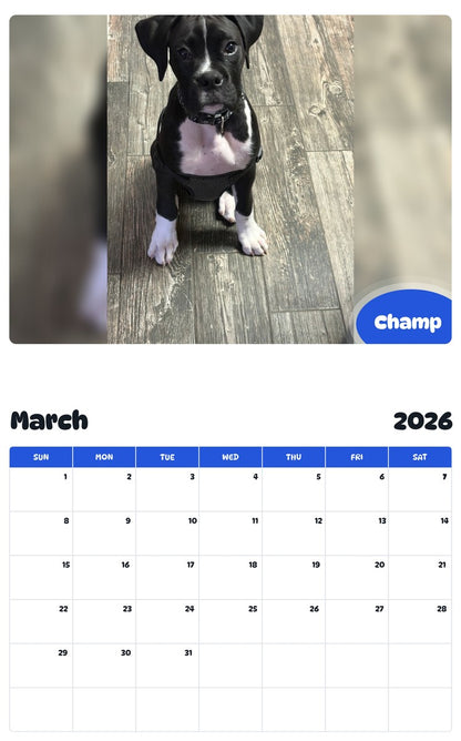 November 2025 - October 2026 Champ - Pawidols Pet Calendar