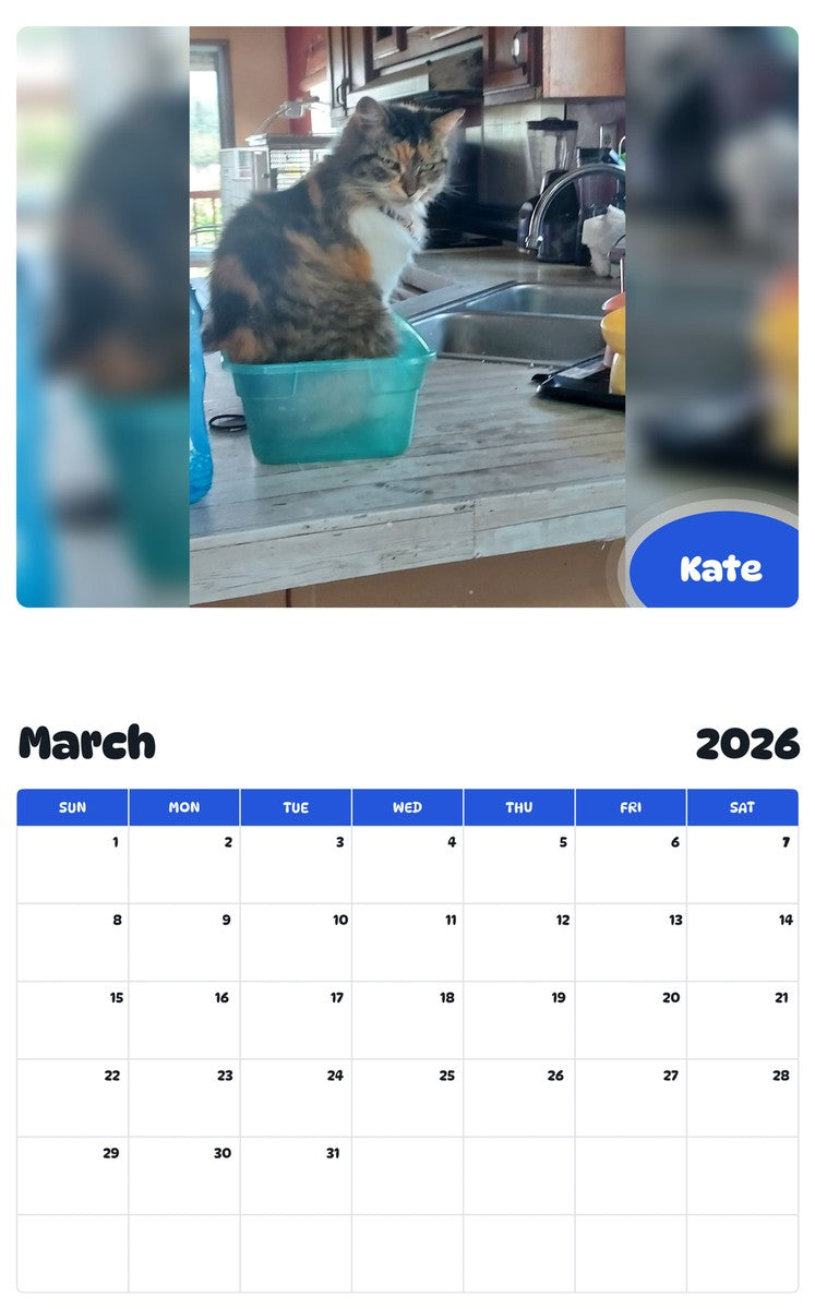 November 2025 - October 2026 Kate - Pawidols Pet Calendar