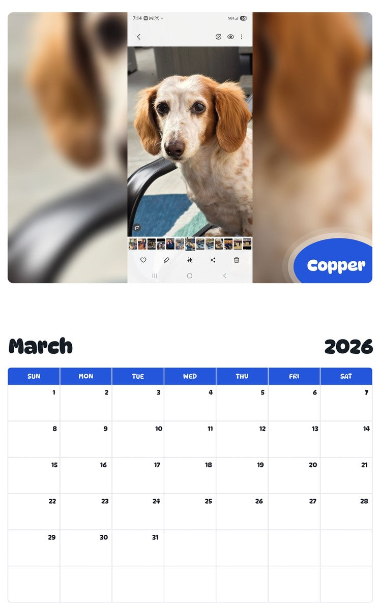 November 2025 - October 2026 Copper - Pawidols Pet Calendar