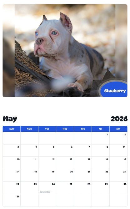2026 - 2027 Blueberry - Pawidols Pet Calendar