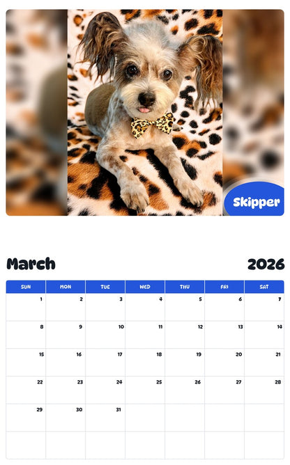 November 2025 - October 2026 Skipper - Pawidols Pet Calendar