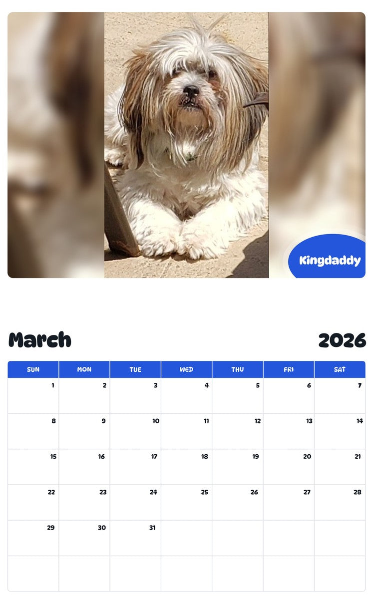 November 2025 - October 2026 Kingdaddy - Pawidols Pet Calendar