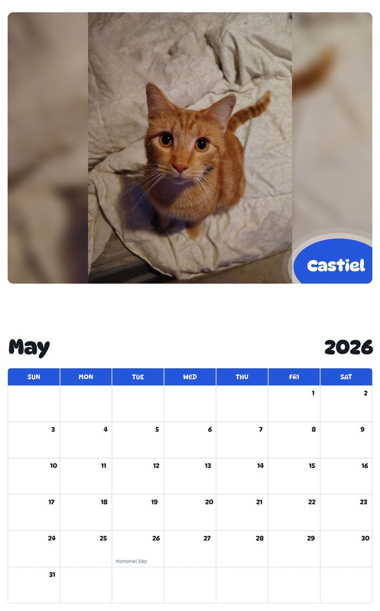 2026 - 2027 Castiel - Pawidols Pet Calendar