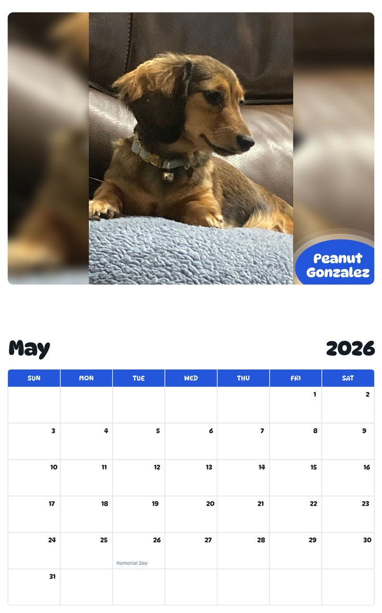 2026 - 2027 Peanut Gonzalez - Pawidols Pet Calendar