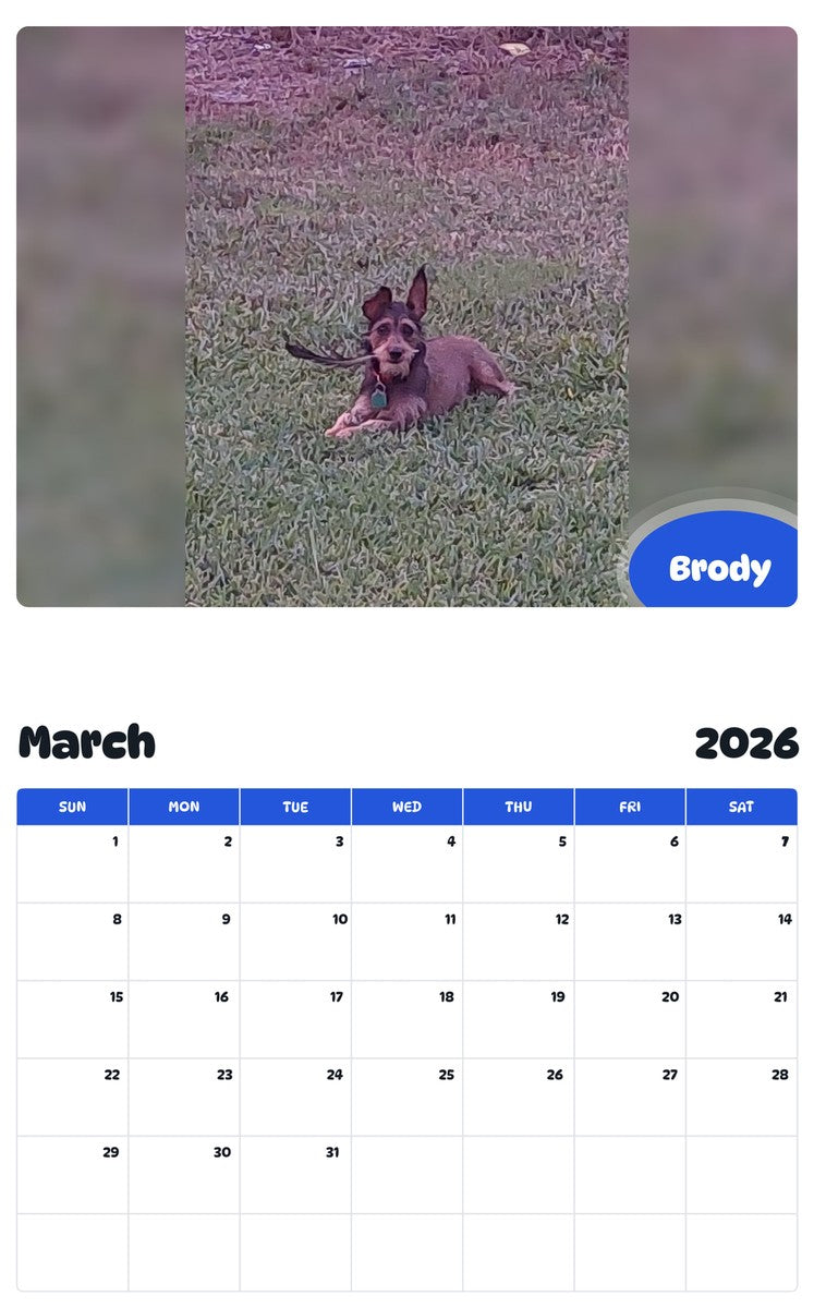 November 2025 - October 2026 Brody - Pawidols Pet Calendar