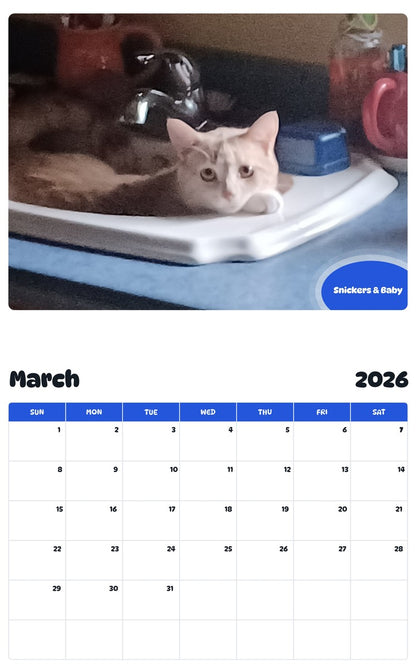 November 2025 - October 2026 Snickers & Baby - Pawidols Pet Calendar