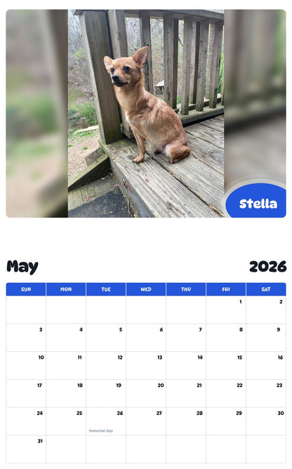 2026 - 2027 Stella - Pawidols Pet Calendar