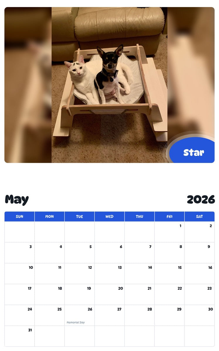 2026 - 2027 Star - Pawidols Pet Calendar