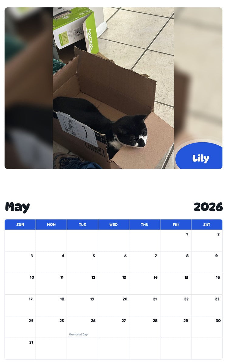 2026 - 2027 Lily - Pawidols Pet Calendar