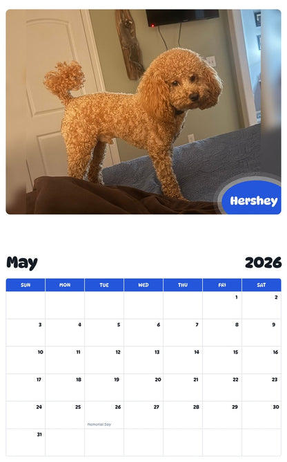 2026 - 2027 Hershey - Pawidols Pet Calendar