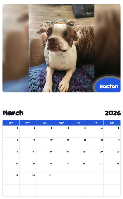 November 2025 - October 2026 Boston - Pawidols Pet Calendar