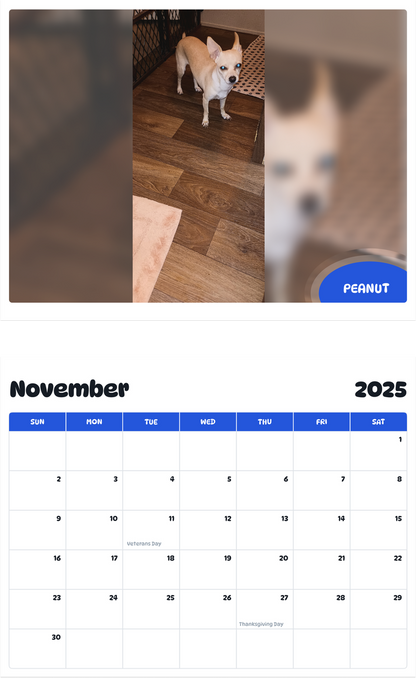 July 2025 - June 2026 Peanut - Pawidols Pet Calendar