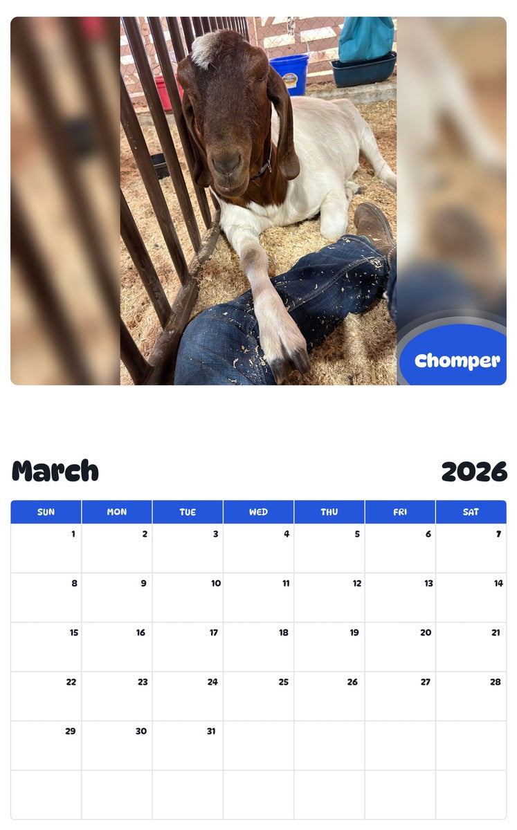 November 2025 - October 2026 Chomper - Pawidols Pet Calendar