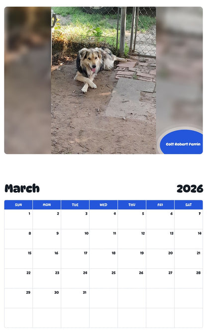 November 2025 - October 2026 Colt Robert Perrin - Pawidols Pet Calendar