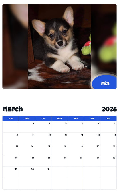 November 2025 - October 2026 Mia - Pawidols Pet Calendar