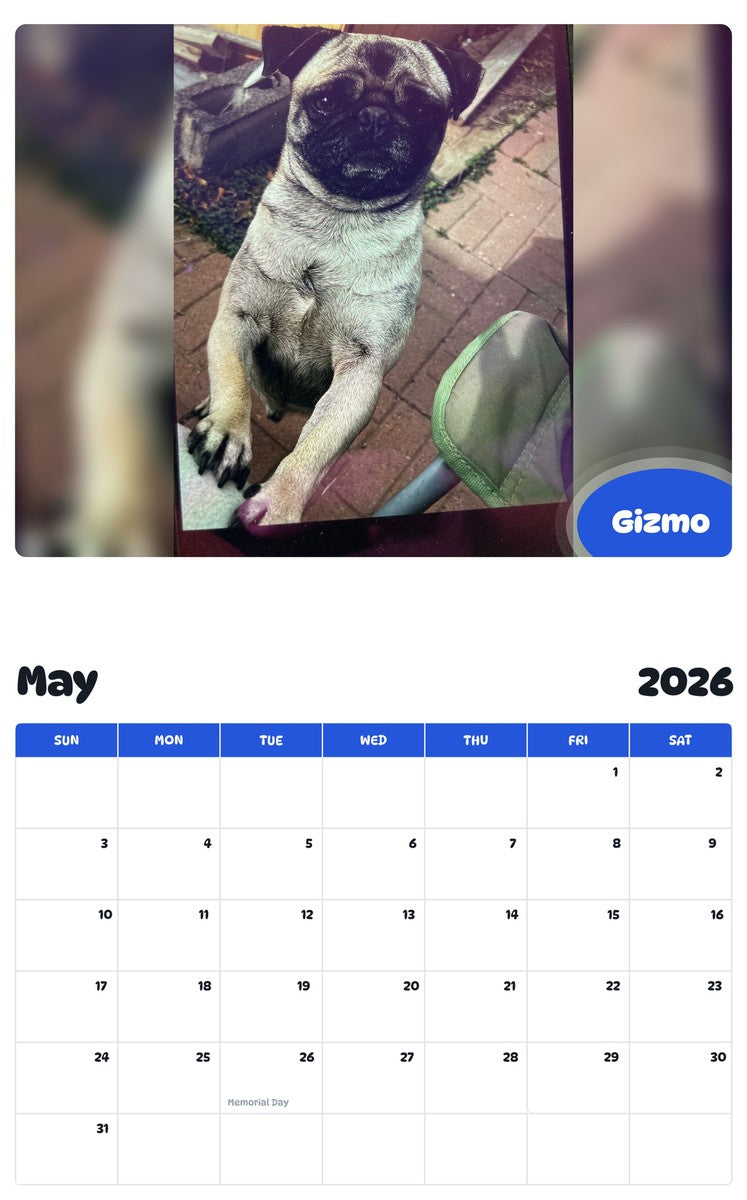 2026 - 2027 Gizmo - Pawidols Pet Calendar