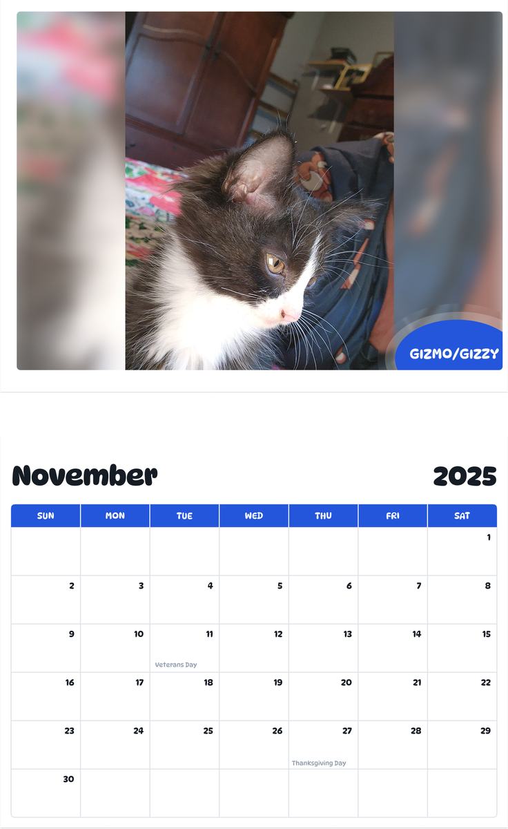 July 2025 - June 2026 Gizmo/gizzy - Pawidols Pet Calendar