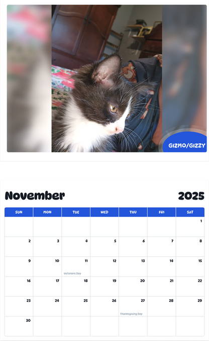 July 2025 - June 2026 Gizmo/gizzy - Pawidols Pet Calendar