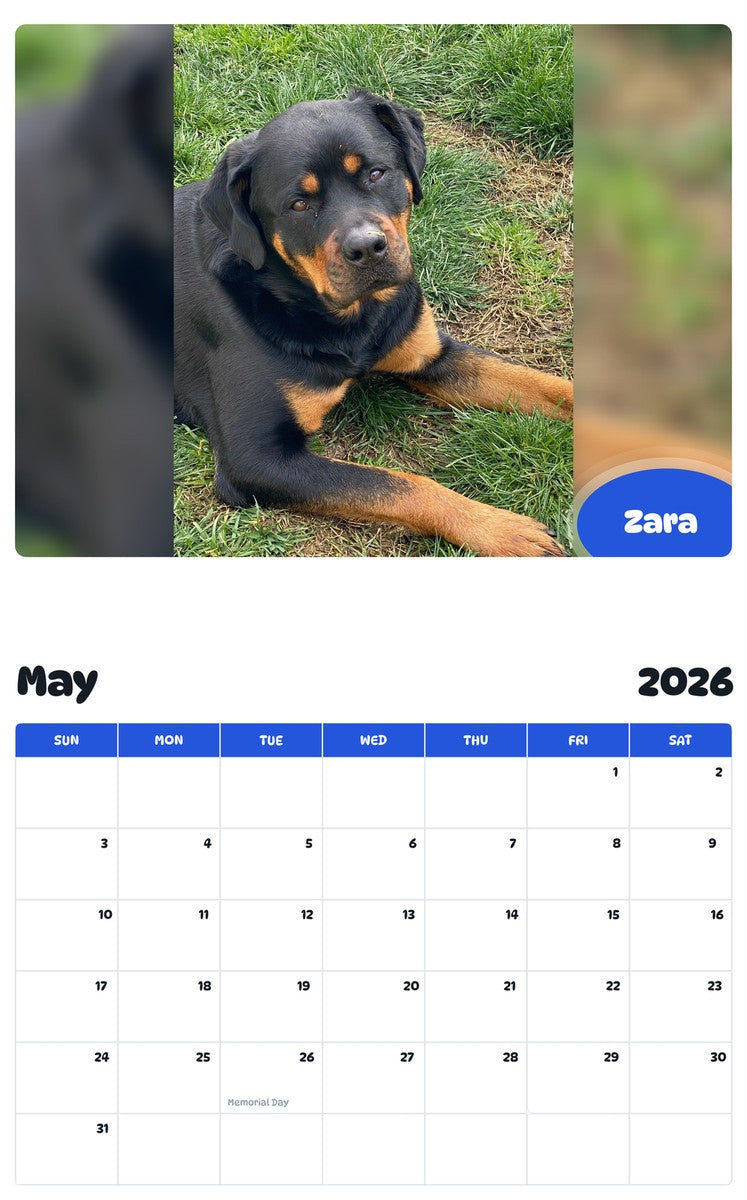 2026 - 2027 Zara - Pawidols Pet Calendar