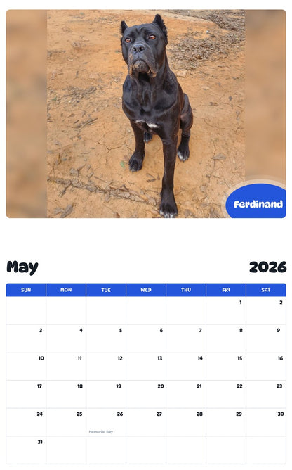 2026 - 2027 Ferdinand - Pawidols Pet Calendar