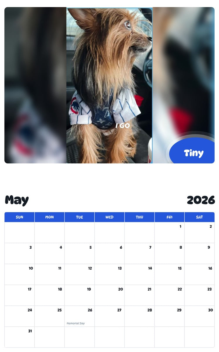 2026 - 2027 Tiny - Pawidols Pet Calendar