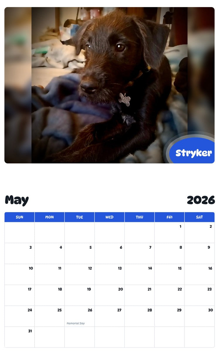 2026 - 2027 Stryker - Pawidols Pet Calendar