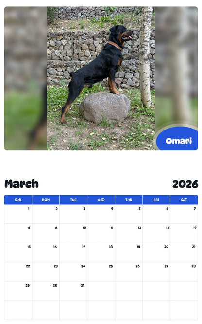 November 2025 - October 2026 Omari - Pawidols Pet Calendar