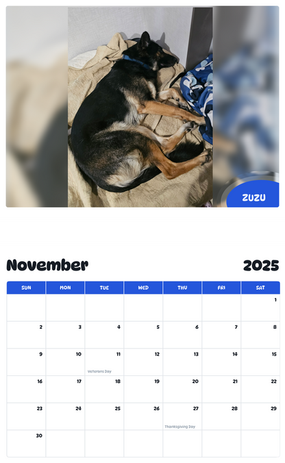 July 2025 - June 2026 Zuzu - Pawidols Pet Calendar