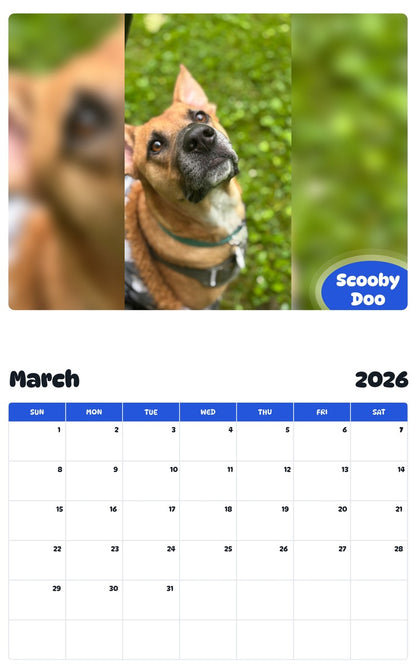 November 2025 - October 2026 Scooby Doo - Pawidols Pet Calendar