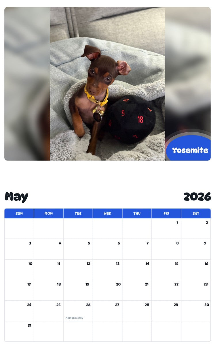 2026 - 2027 Yosemite - Pawidols Pet Calendar