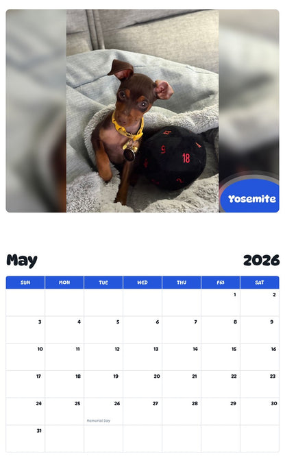 2026 - 2027 Yosemite - Pawidols Pet Calendar