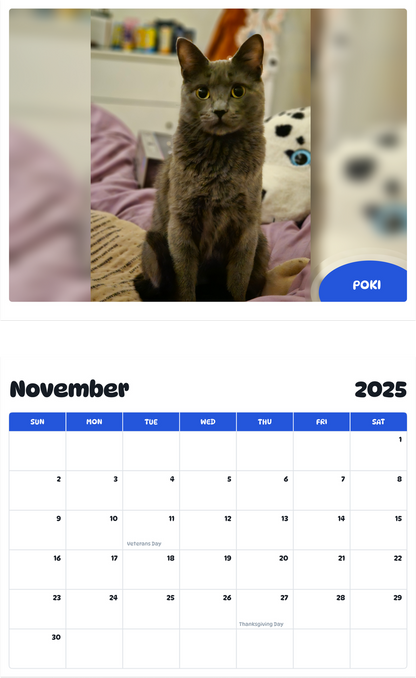 July 2025 - June 2026 Poki - Pawidols Pet Calendar
