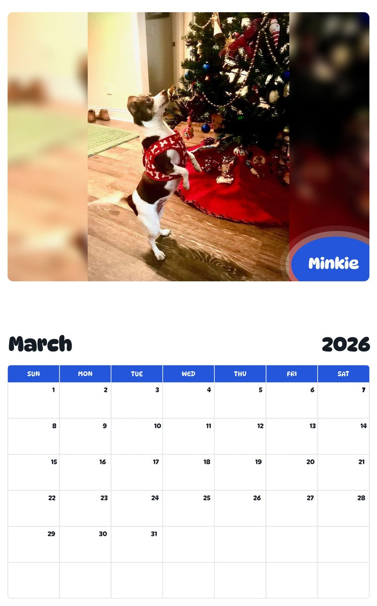November 2025 - October 2026 Minkie - Pawidols Pet Calendar