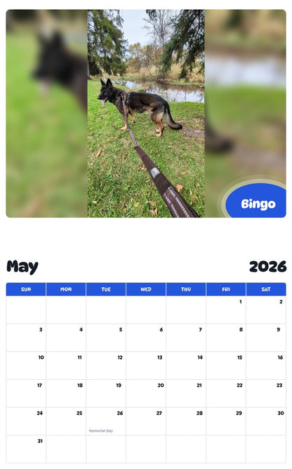 2026 - 2027 Bingo - Pawidols Pet Calendar