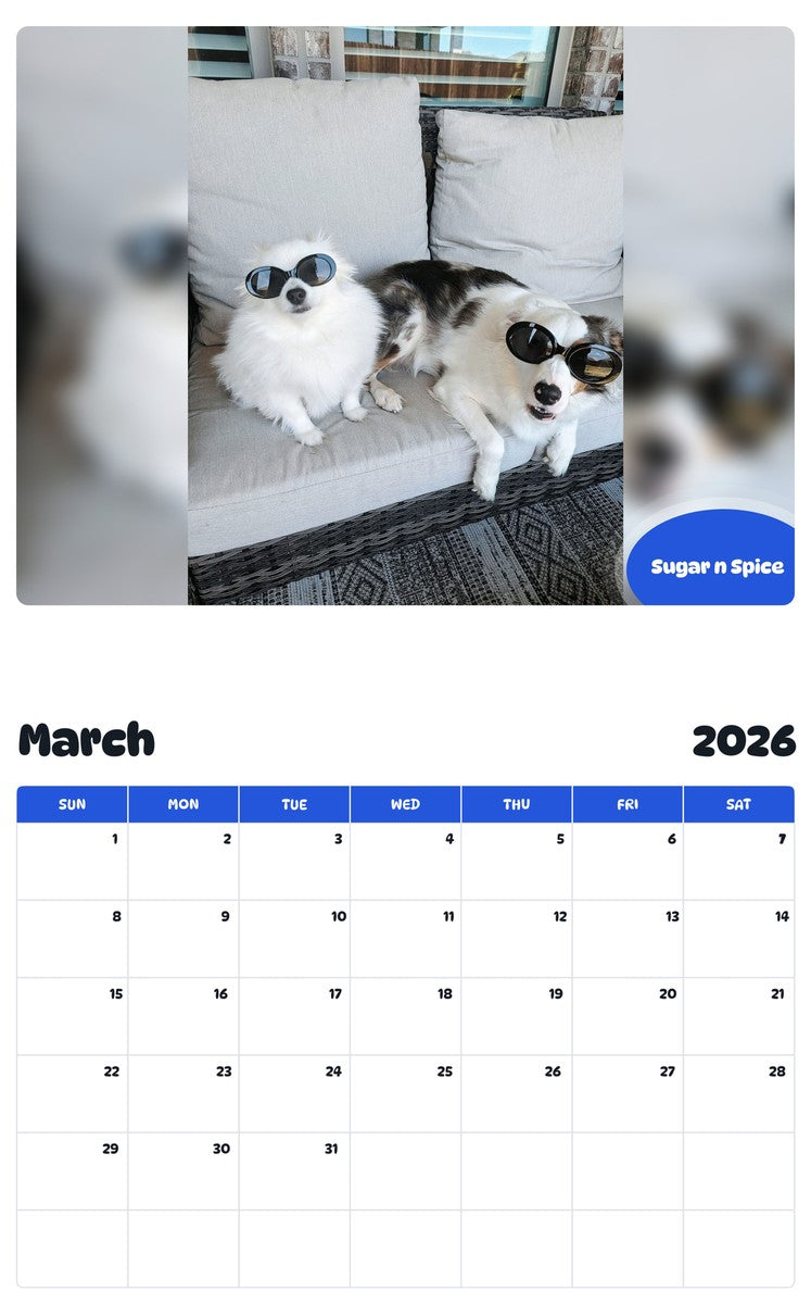 November 2025 - October 2026 Sugar n Spice - Pawidols Pet Calendar