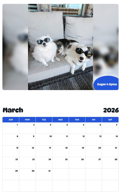November 2025 - October 2026 Sugar n Spice - Pawidols Pet Calendar