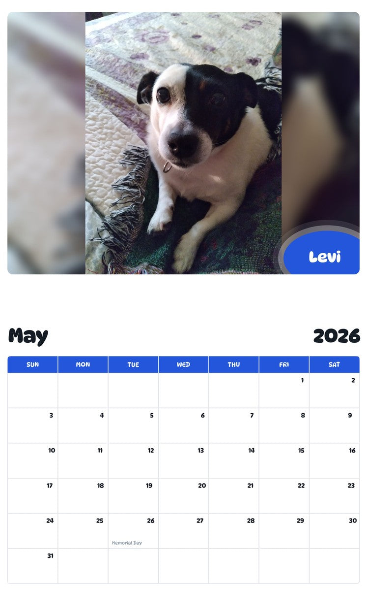 2026 - 2027 Levi - Pawidols Pet Calendar
