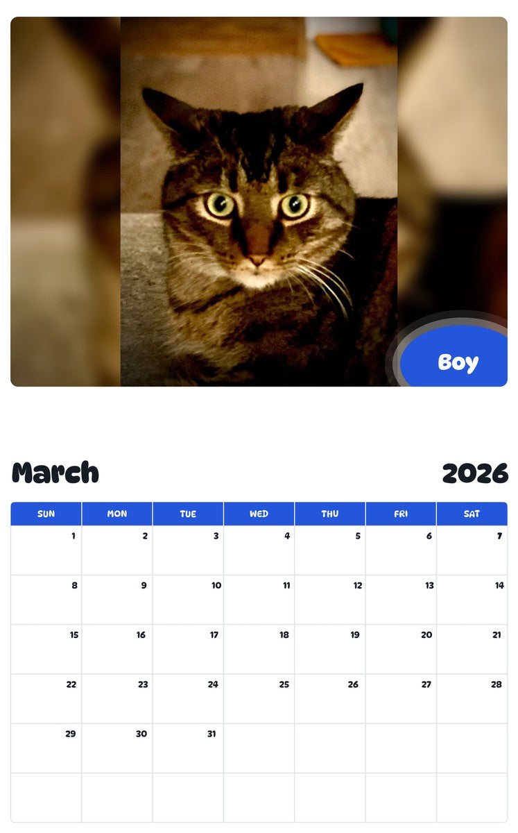 November 2025 - October 2026 Boy - Pawidols Pet Calendar