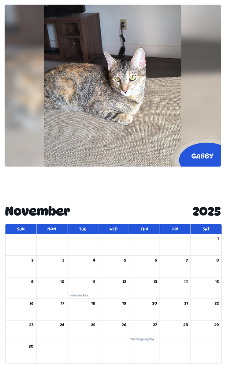 July 2025 - June 2026 Gabby - Pawidols Pet Calendar