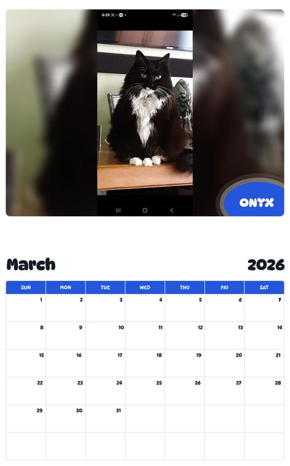 November 2025 - October 2026 ONYX - Pawidols Pet Calendar
