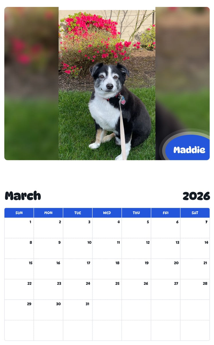November 2025 - October 2026 Maddie - Pawidols Pet Calendar