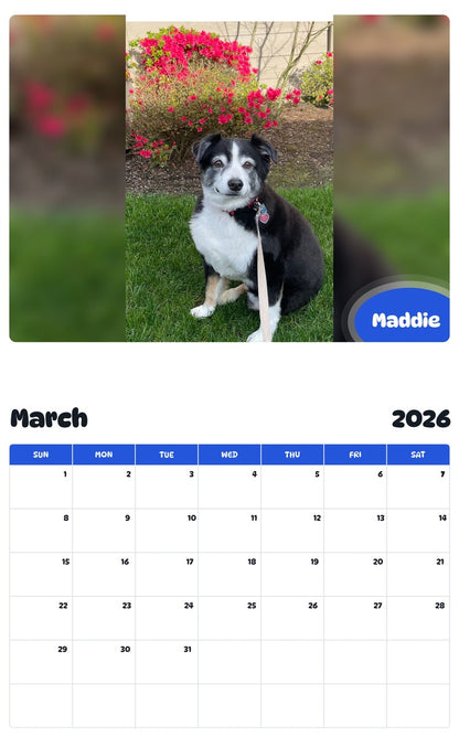 November 2025 - October 2026 Maddie - Pawidols Pet Calendar