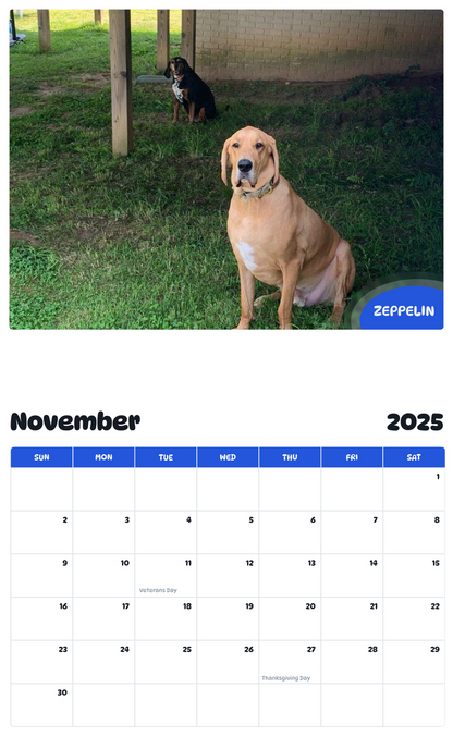 July 2025 - June 2026 Zeppelin - Pawidols Pet Calendar