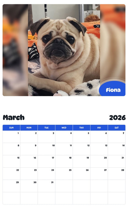 November 2025 - October 2026 Fiona - Pawidols Pet Calendar