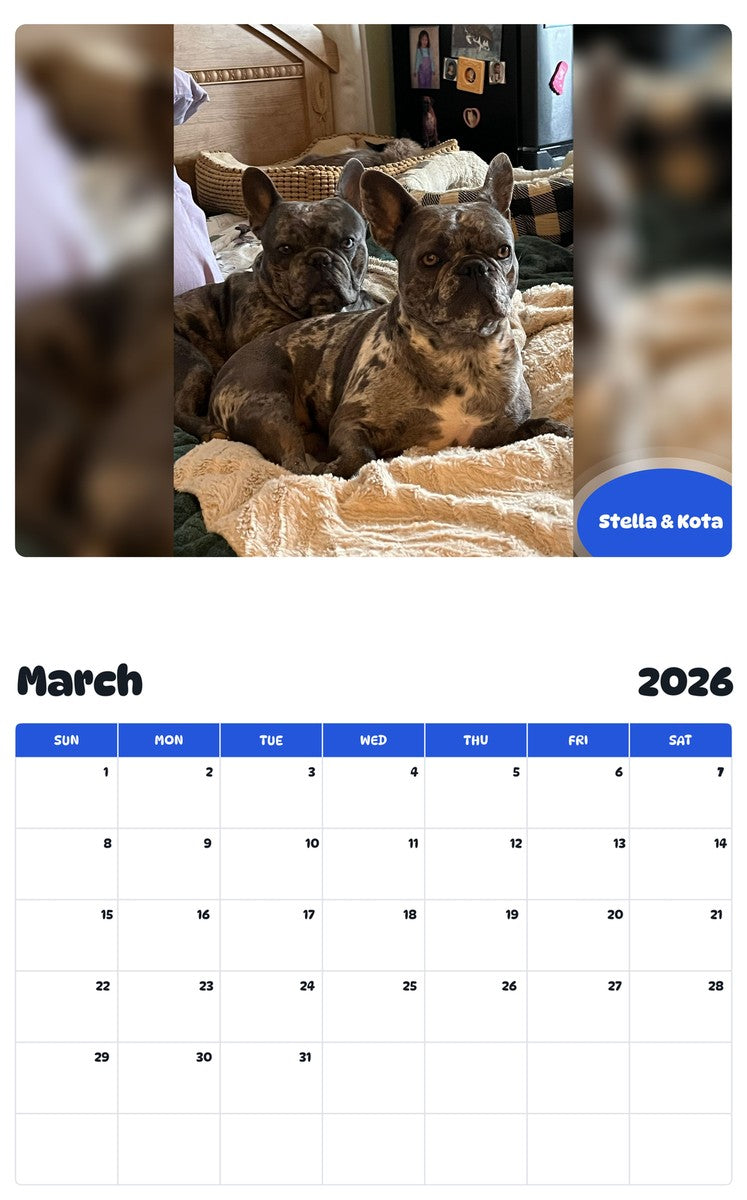 November 2025 - October 2026 Stella & Kota - Pawidols Pet Calendar