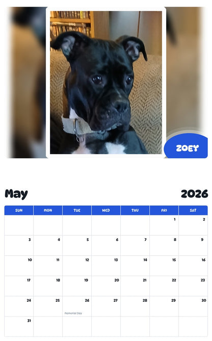 2026 - 2027 ZOEY - Pawidols Pet Calendar