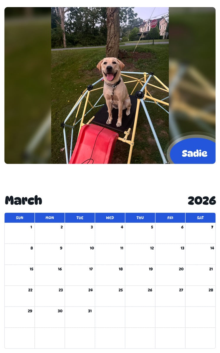 November 2025 - October 2026 Sadie - Pawidols Pet Calendar