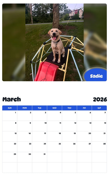 November 2025 - October 2026 Sadie - Pawidols Pet Calendar